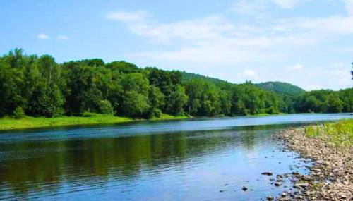 Rare River Views & Access, Cabin by Eden Islands - Foto 3