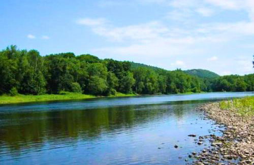 Rare River Views & Access, Cabin by Eden Islands - Foto 3