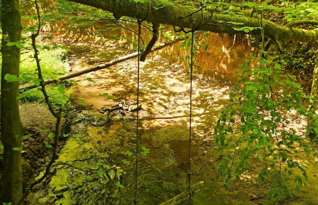 Familiehuis Dolve - Photo 39