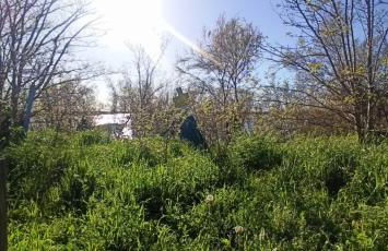 Casa Vacanze Nel Delta del Po - Foto 46