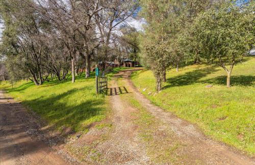 New Listing- Hobbit House @ Yosemite w/spa/firepit/unique - Foto 44