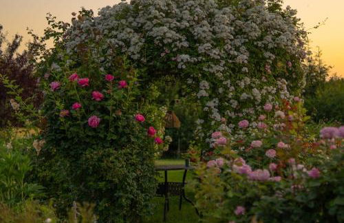Romantik Unterkünfte Gut Rechetsberg - Foto 32