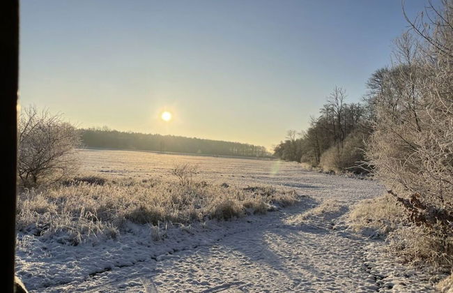 Uitzicht op de Kraanvogel - Foto 27