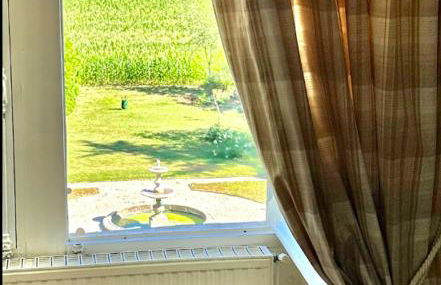 Château Déhès Gazaupouy 1 chambre d'hôte et 1 Gite - Photo 38