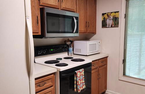 Massanutten Resort Home - Quiet, Convenient, Family- and Pet-Friendly - Foto 9