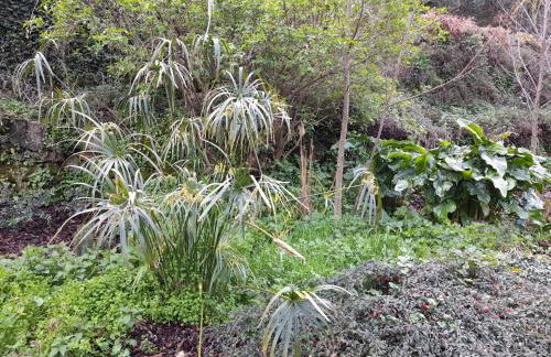 Fragas do Lobo - Casa da Azenha - Foto 38