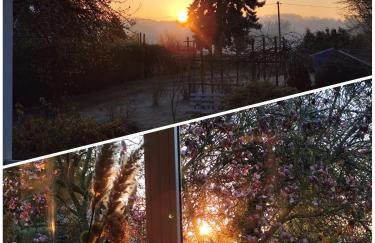 Ferienhaus am Wald - Leipzig Land Whirlpool & Infrarotkabine - Foto 5