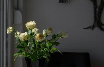 Apartment Tikvarin, Kaštel Kambelovac - Photo 37