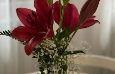 Casa Vacanze “Il Sogno” - Foto 17