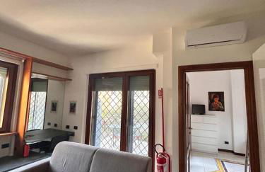 la gerbera - Foto 10