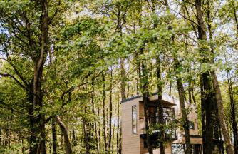 Dziki Las - domki na drzewach - Foto 76