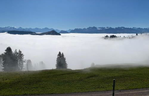 Haus Panorama mit Alpenblick - Foto 33