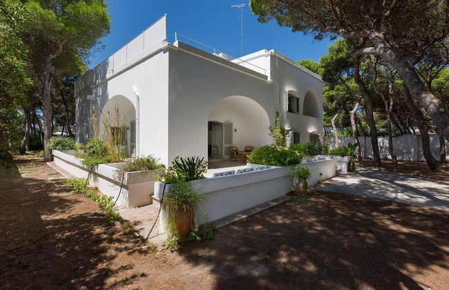 1675 Masseria Villa in Torre Specchia Ruggeri - Foto 9