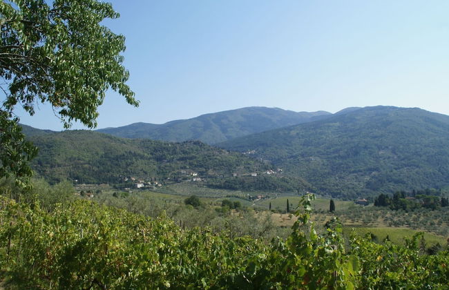 Agriturismo Poggio di Montepescoli - L'aia - Foto 29