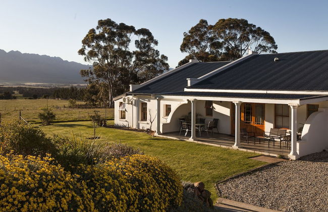 Raptor Rise - Foto 4