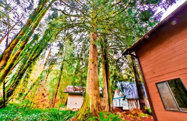 Chalet Vino Rosso - Foto 34