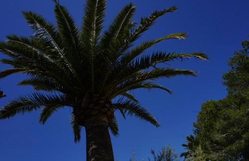 Agroturismo Sa Pletassa - Foto 18