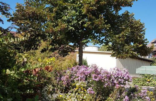 Stapelfeldt - Foto 6