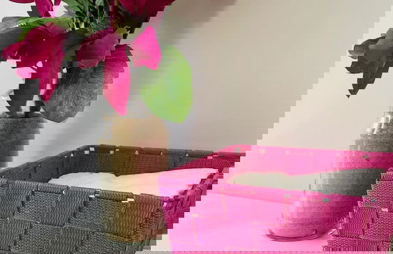 Aqua Plaza CIP - Photo 10