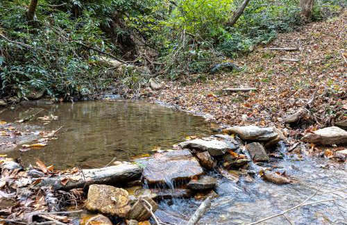 Creekside Guest House Mountains & Relax to the soothing sound of the creek - Foto 52
