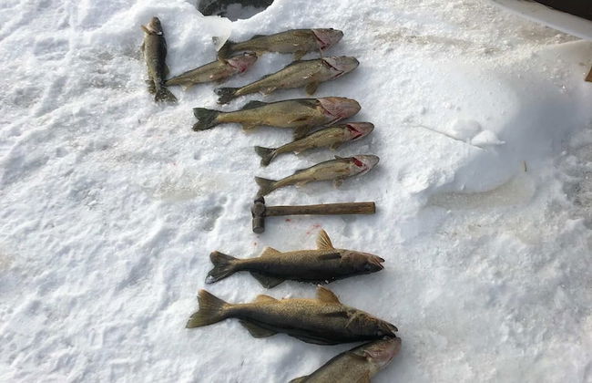 Domaine des Trois-Îles - Foto 23