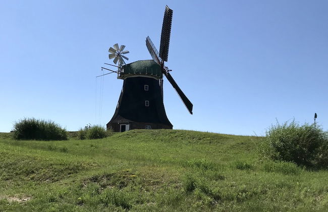 Bungalow Park am Salzhaff - Foto 19