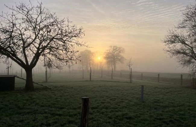 Chic Forest Lodge With Sauna - Photo 37