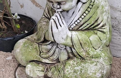 kitnets Luz Beira mar - Foto 36