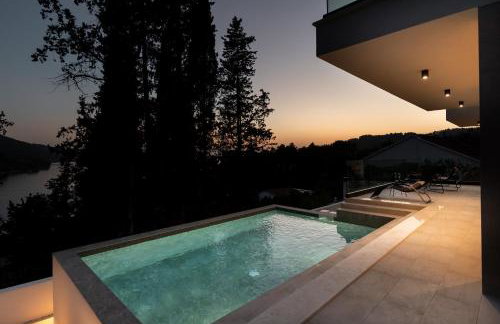 My seagull - Photo 67