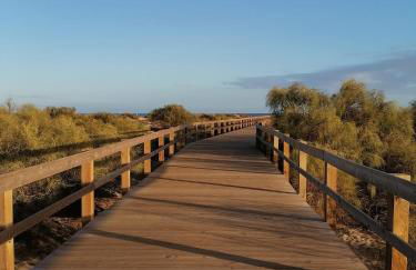 Casa Vila Rosa - T1 Altura Beach - Photo 33
