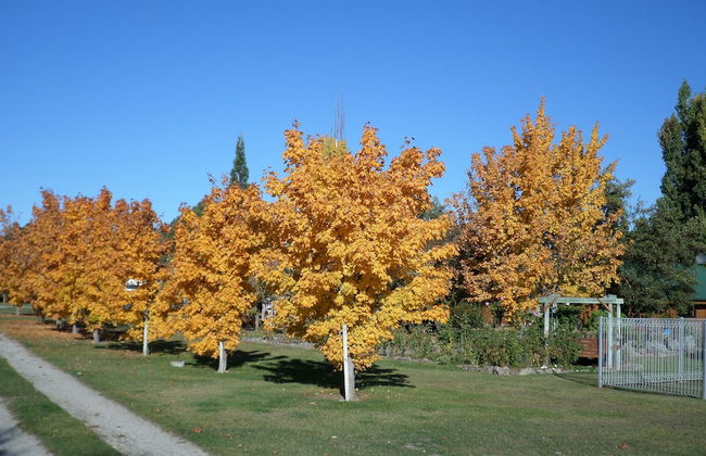 Central Chalets - Foto 59