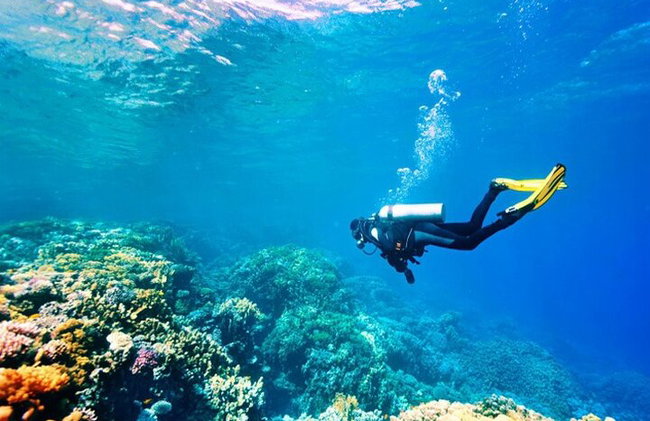 Tauchabenteuer in Alanya mit Mittagessen und Hoteltransfer - Foto 8