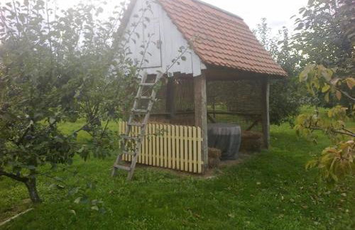 Seoski Turiziam Larva - Photo 37