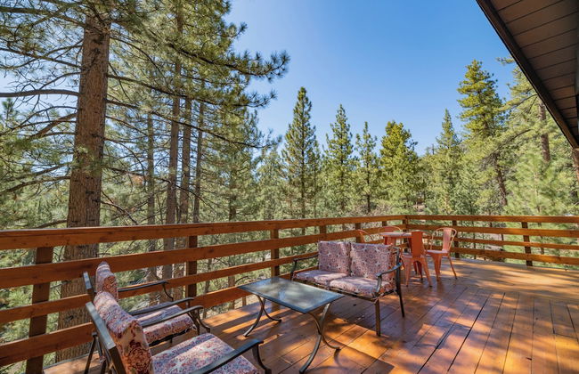 Forest Escape - Foto 11