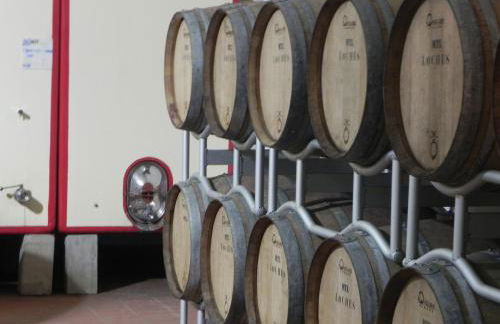 Tenuta Pizzogallo - Foto 78