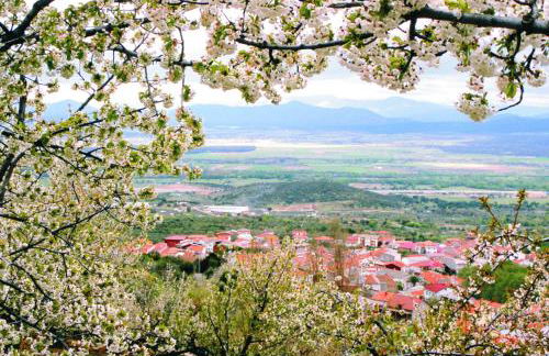 Casas Rurales Manolo - Foto 92