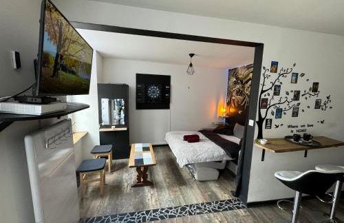 Studio Monistrol sur Loire - Foto 1