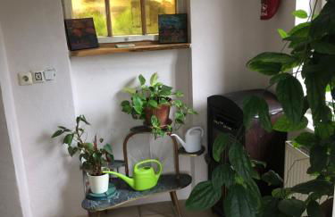 Ferienwohnung Zentral - Foto 6