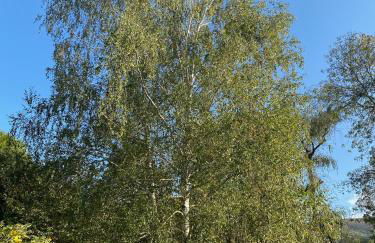 Foix Villa 150m2 dans très grand parc arboré - Foto 41