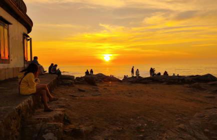 A PINTEGA DAS DUNAS - Foto 8