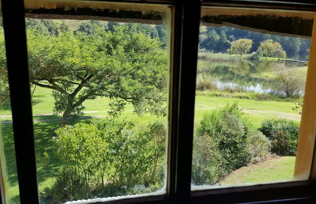 Bye Gums Cottage - Photo 15