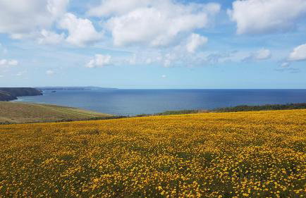 Beach View Apartments - Foto 20