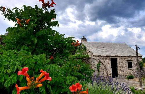 Country House Hacienda - Photo 1