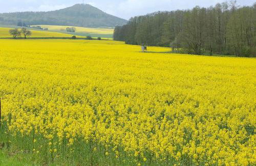Ferienwohnung am Krayenberg - Foto 18