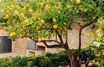 Casa VISTA MARE - Foto 21