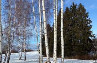 Casera Marisa Nevegal - Foto 17