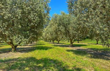 La Terrasse - Entire townhouse in hilltop village - Foto 29