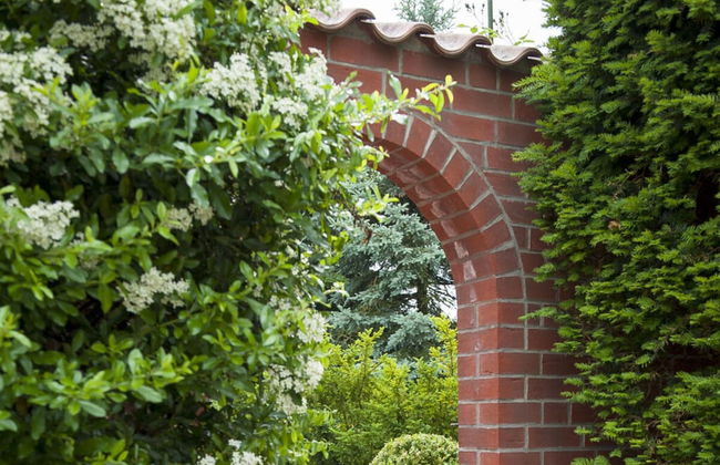 Elbwiesenhaus Modern Retreat - Foto 37