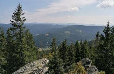 Apartament BOHO DOM Stronie Śląskie - Foto 27