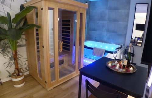 Appartement balnéothérapie et sauna hyper centre - Foto 14